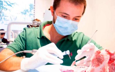 Máster en Implantologia Oral
